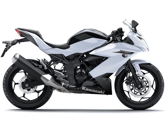 Фото мотоцикла Kawasaki Ninja 250SL ABS